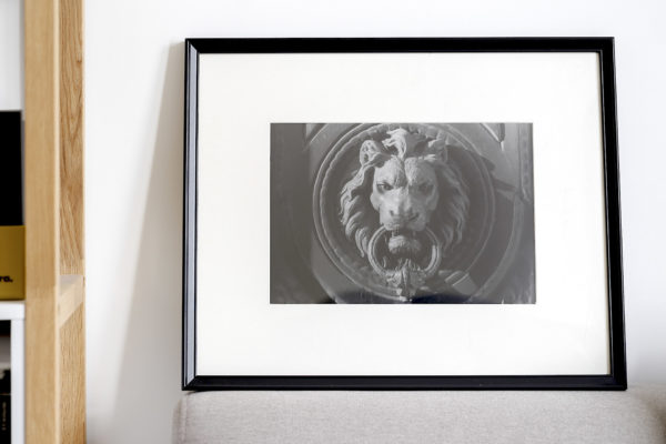 Le Lion